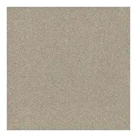 Technická dlažba SDR silver 30,5/30,5