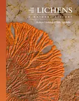 The Lives of Lichens - Robert  Lucking, Toby  Spribille