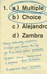 Multiple Choice - Alejandro Zambra