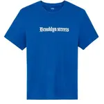 CELIO JEDARK Pánské tričko, modrá, velikost