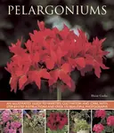 Pelargoniums - Blaise Cooke