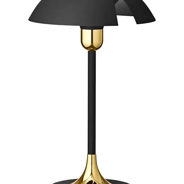 Stolná lampa AYTM Cycnus