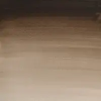 Akvarelová barva W&N Cotman 1/2 – 113 Sepia