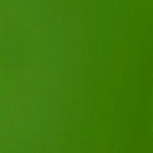 Akrylová barva Basics 22ml – 312 light green permanent