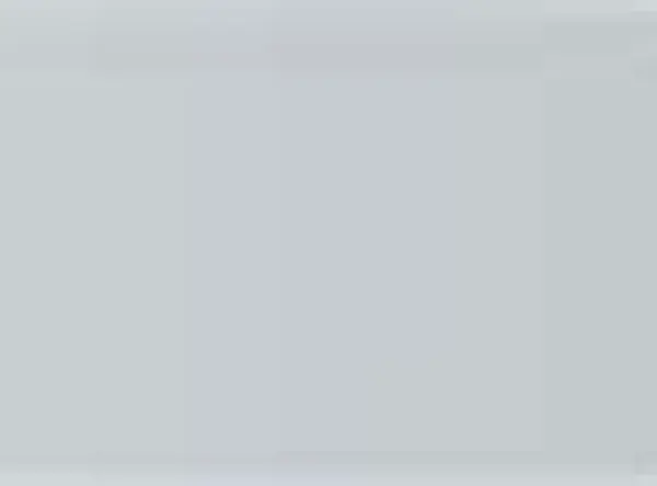 Pastel Caran d'Ache Neocolor II 498 Silver