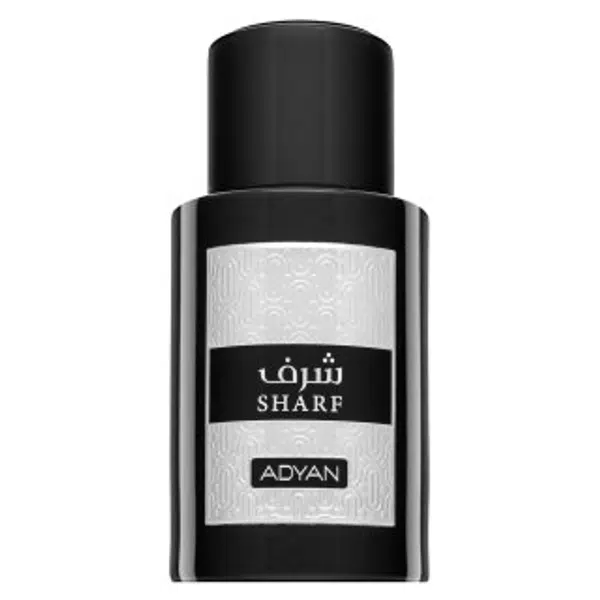 Adyan Sharf parfémovaná voda pro muže 100 ml