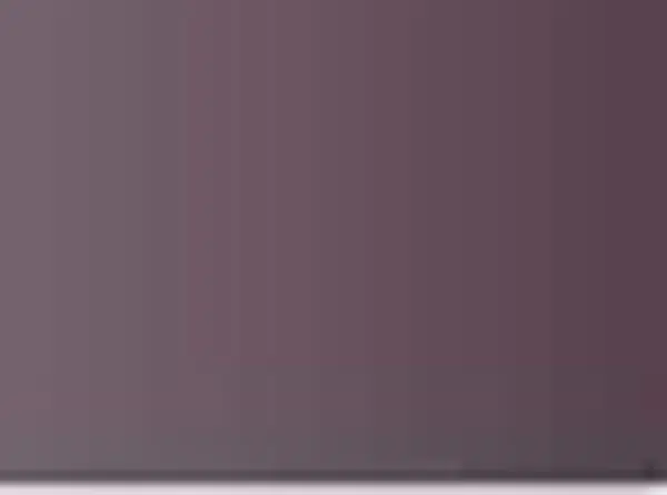 Pastel Caran d'Ache Neocolor II 409 Charcoal grey
