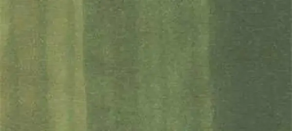 Copic sketch marker - G99 olive