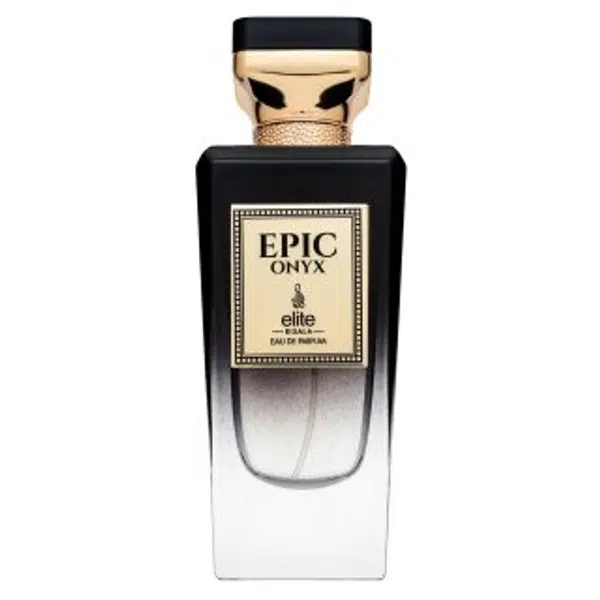 Risala Elite Epic Onyx parfémovaná voda pro muže 100 ml