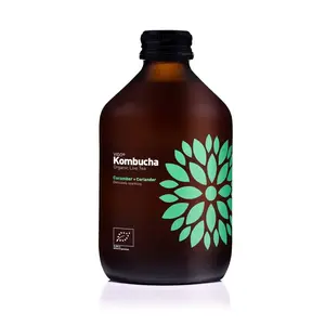 VIGO Kombucha okurka a koriandr BIO 330 ml