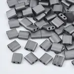 FGB 2-Hole Glass Seed Beads