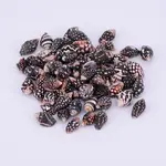 Natural Spril Shell Beads