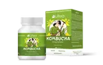 LIFTEA KOMBUCHA - ENZYMAKTIV
