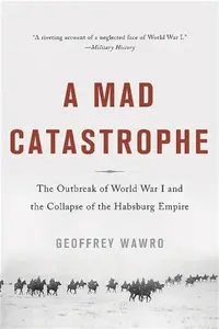 A Mad Catastrophe - Geoffrey Wawro