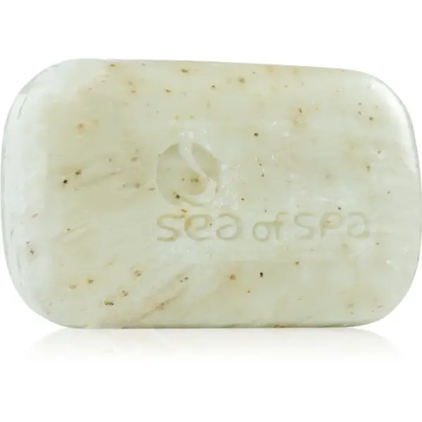 Sea of Spa Dead Sea Treatment tuhé mýdlo s mořskými řasami 125 g