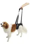 Postroj zvedací Rehab na zadní nohy S Kruuse