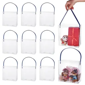 Transparent Plastic Bag Gift Packaging