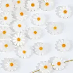 20Pcs Natural Freshwater Shell Beads