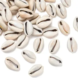 Natural Cowrie Shell Beads