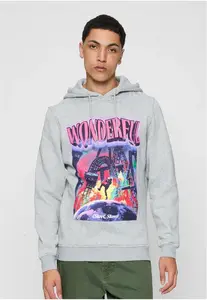 Gorgeous Hoody Heather Grey
