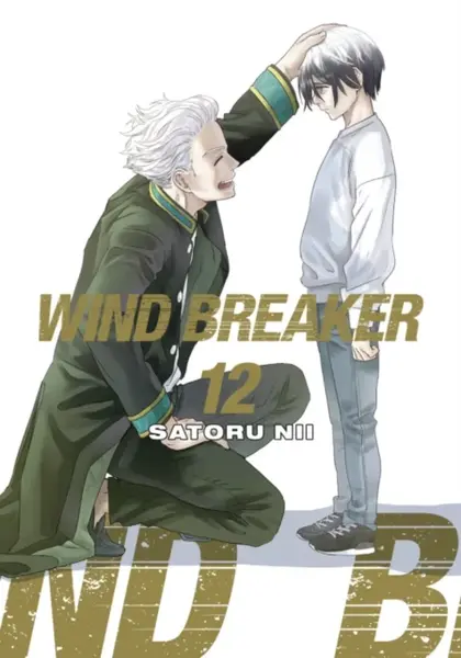 WIND BREAKER 12 - Satoru Nii