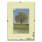 Obrazový rám BFHM s euroclipy - A4, 21 x 29,7 cm