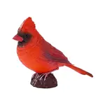 Můj Kardinál červený