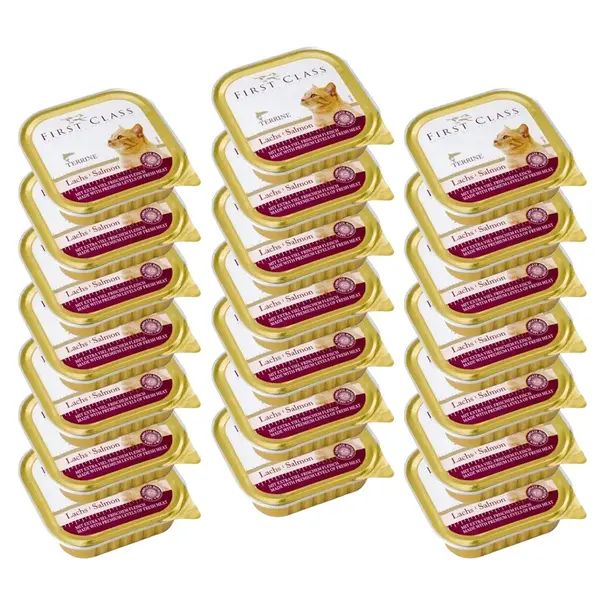 Akinu FIRST CLASS Losos paštika pro kočky 21 x 100 g