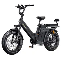 TESWAY X5 Pro Electric Bike 1000W 48V 60Ah Black