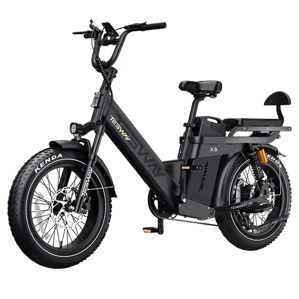 TESWAY X5 Pro Electric Bike 1000W 48V 60Ah Black