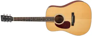 Eastman E1DL (použité)