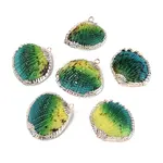 Spray Paint & Electroplate Natural Sea Shell Pendants