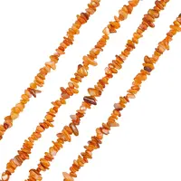 Natural Freshwater Shell Beads Strands