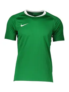 NIKE Funkčné tričko  zelená / biela