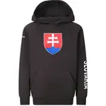 PROGRESS SK HOODY JR Juniorská mikina pro fanoušky, tmavě šedá, velikost 140-146