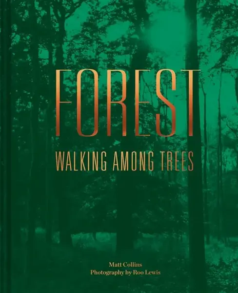 Forest - Matt Collins
