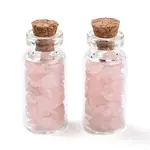 Glass Wishing Bottle Display Decorations