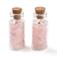 Glass Wishing Bottle Display Decorations