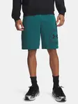 Pánské šortky Under Armour UA Rival LW Graphic