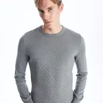 LC Waikiki Crew Neck Long Sleeve Men's Knitwear Sweater