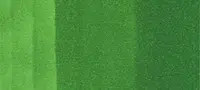 Copic sketch marker - G07 nile green