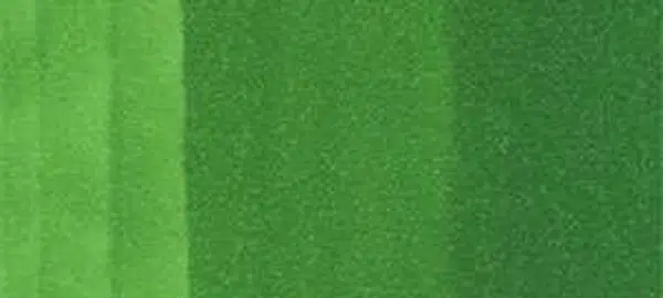 Copic sketch marker - G07 nile green