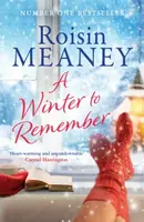 A Winter to Remember - Roisin Meaney