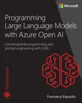Programming Large Language Models with Azure Open AI - Francesco Esposito