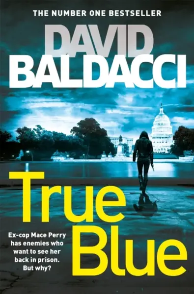 True Blue - David Baldacci