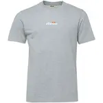 ELLESSE OLLIO 2 Pánské tričko, šedá, velikost