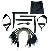 inSPORTline Posilovací tyč s expandéry a dveřní kotvou Ancairo