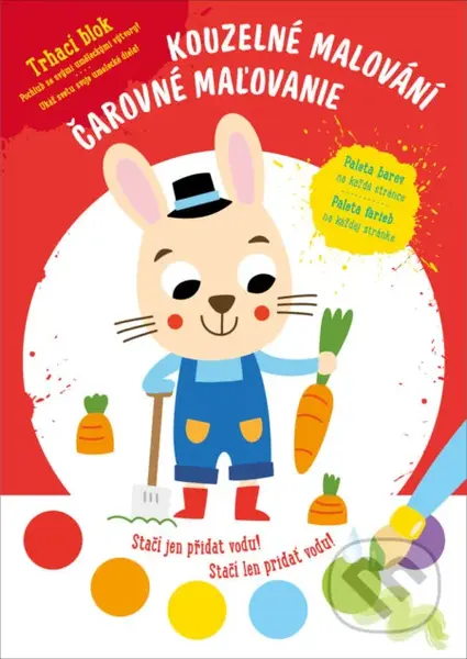 Kouzelné malování - Zajíc / Čarovné maľovanie - Zajac - kniha z kategorie Omalovánky