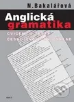 Anglická gramatika (Cvičení a testy, česko-anglický výklad) - kniha z kategorie Střední školy