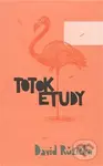 Totok etudy - David Růžička - kniha z kategorie Poezie